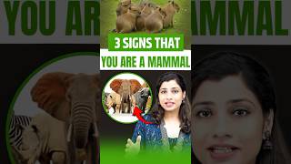 3 signs that you are a Mammal  NEET Concept neetbiology neet2025 riturattewal mammals [upl. by Miah]