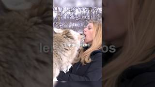 Beso francés con Lobos [upl. by Rucker]