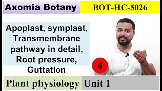 L4 Pathway Root pressure Guttation  Plant Physiology Dr Rajib BorahBsc Botany Axomia Botany [upl. by Nemajneb]