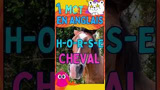 Apprends langlais en tamusant  Le mot du jour  HorseCheval  learn english anglaisfacile [upl. by Eneiluj437]