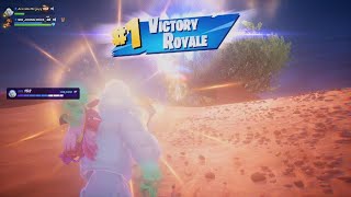 Fortnite No build BR WIN [upl. by Lexy]