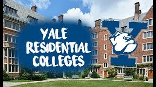 LIFE IN THE YALE RESIDENTIAL COLLEGE SYSTEM  YALE Q amp A [upl. by Catlin]