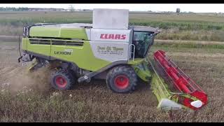 Cosechadoras Ruano Claas Lexion 740 Vídeo drone cosechando [upl. by Dahlia]