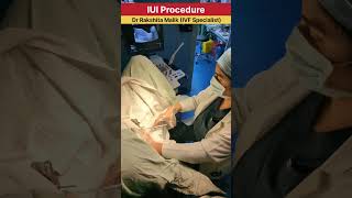 IUI Procedure  intrauterine insemination procedure  by Dr Rakshita Malik ivfcenter iuitreatment [upl. by Eilsel]