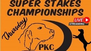 2024 PKC Fall Super Stakes Thursday [upl. by Sirama]