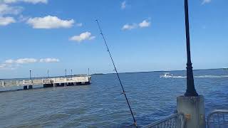 Fishing at Titusville Veterans Memorial Fishing Pier [upl. by Fidel]