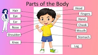 Body Parts Name  Kidz Korner Creative Learning  Parts of the Body Name for Kids  Pre School Kids [upl. by Merceer648]