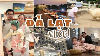 Đà Lạt Vlog  Merperle Hotel I Chuyến đi đầu tiên của Comie 5 ngày 4 đêm I Family trip [upl. by Richers]