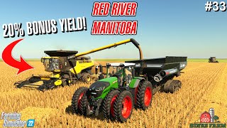 SWATHING 300 ACRE BARLEY FIELD  Red River Manitoba  Farming Simulator 22 33 [upl. by Jannery]