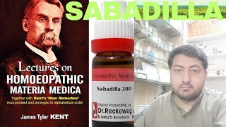 Sabadilla Benefits in Urdu  Sabadilla Single remedy  Homoeo Dr Adnan [upl. by Des]