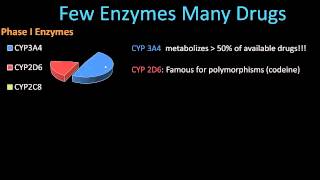 Phase II Metabolism  Pharmacology Lect 8 [upl. by Tiedeman]