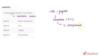 In which tubulin protein is not present [upl. by Haela]