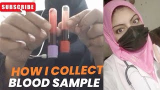 How i collect blood sample  iRishabhSaab the nurse anila shahzadi [upl. by Leicam209]