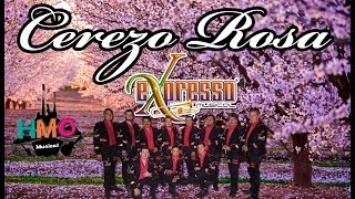 Cerezo Rosa  Expresso Musical  Versión Estudio  2017 [upl. by Salamanca]