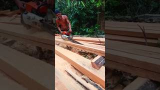 Amazing Wood cutting [upl. by Eiralav103]