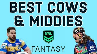 43 NRL Fantasy Players To Target In 2024 [upl. by Gnoc]