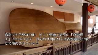 宮島大杓子 表参道商店街の中央付近に展示されている [upl. by Nosmas843]