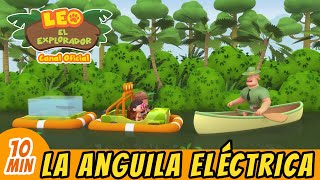 La Anguila Eléctrica Español  Leo El Explorador Episodio Completo  Animación  Familia  Niños [upl. by Dorran]