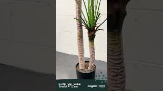 Kentia Palm Double Trunk UV 120cm  artificial plant artificialplants diy greenwall [upl. by Souvaine215]