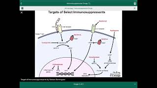 Immunosuppressive Drugs Cases Scenario  سيناريو حالات الأدوية المثبطة للمناعة [upl. by Nabalas]