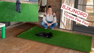 BJXJNORD Grass Pee Pad soft fluffy and has drainage dogs dog pottytraining [upl. by Michey]