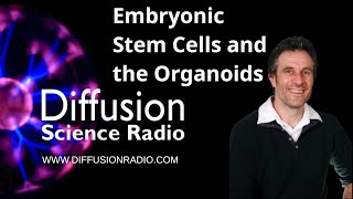 Embryonic Stem Cells and the Organoids [upl. by Reace]