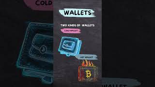 What Are Crypto Wallets crypto cryptocurrency cryptowallet [upl. by Okun]