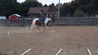 Jacqueline Tanzi and Only Ms Trixie 100 western adult trail WJ [upl. by Eanehs]