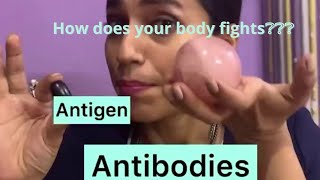 AntigenAntibody Reaction [upl. by Eelsha938]