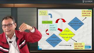 Básicas USAMEDIC Inmunología 23 [upl. by Zacarias]