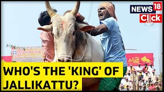 Why Pulikulam Breeds Are Referred King Of Jallikattu Heres What So Unique About Them [upl. by Racklin]