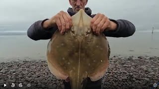 A FEW FISH ABOUT 6924 seafishinguk minehead bristolchannel [upl. by Fran390]