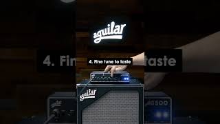 Dialing in a funky fingerstyle bass tone with the AG 500 [upl. by Ylatan]