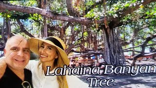 Lahaina Town  Maui banyantree marriott [upl. by Urbain]