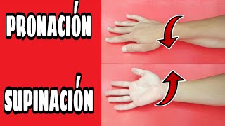 PRONACIÓN y SUPINACIÓN del brazo como hacer la PRONOSUPINACIÓN de la muñeca y del codo [upl. by Neetsuj]