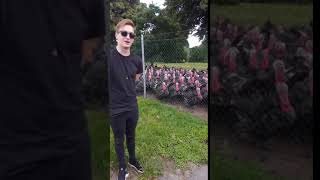 Guy Makes Gobbling Sound at Group of Turkeys Who Respond Together  1067747 [upl. by Odnumyar291]