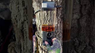 Subscribe Today Mouthwash dispenser More like whiskey dispenser hunting bourbon whiskey deer [upl. by Garin]