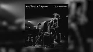 Neil Young  Stray Gators  Lookout Joe Official Live Audio [upl. by Troc]