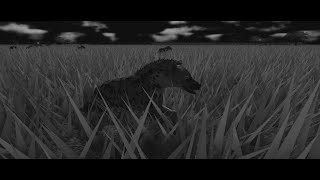 The Night Ticklers The Story of Usiki Tekenya Trailer for upcoming Wild Savannah Hyena Documentary [upl. by Allie]