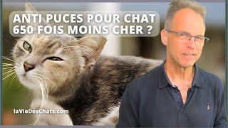 ANTI PUCES POUR CHAT 650 FOIS MOINS CHER [upl. by Brennen]