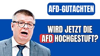 Haldenwang kündigt neues AfDGutachten an [upl. by Asert226]