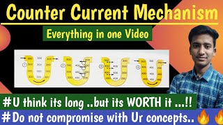 Counter Current Mechanism Concentration of Urine  Renal Physiology  hindi  Ashish Agrawal [upl. by Yeloc]