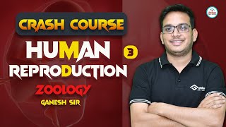 HUMAN REPRODUCTION CLASS 12  CRASH COURSE CUET  JET 2024  ZOOLOGY  NCERT LINE BY LINE  CUET [upl. by Yarased]