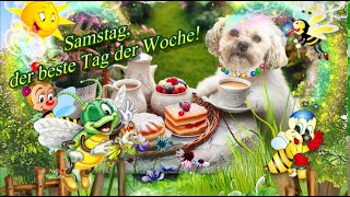 Samstag ist der beste Tag der Woche 😎 liebe Grüße und genieße das Wochenende 🌞 [upl. by Nicoline]