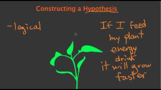 Constructing a Hypothesis [upl. by Eeslek]