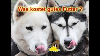 Muss gutes Hundefutter teuer sein  Hundefutter  artgerechte Ernähung Nature Trails [upl. by Hannahsohs]