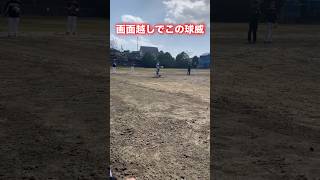 非常に申し訳ございません softball 高校野球 送球 baseball プロ野球 豪速球 甲子園 投球フォーム sportsequipment 投球 [upl. by Ashelman656]