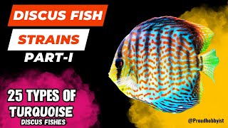 Discus Fish Strains Part1  25 types of Turquoise Discus Fishes  Proud Hobbyist [upl. by Einnor]