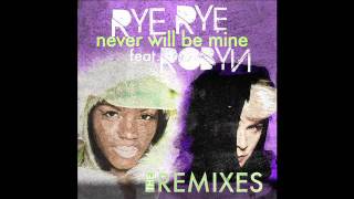 Rye Rye  Never Will Be Mine Fedde Le Grand Vocal Remix feat Robyn [upl. by Budworth]