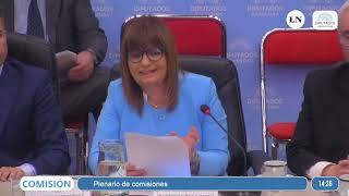 Patricia Bullrich defendiendo la Ley Ómnibus frente a los diputados [upl. by Botsford]